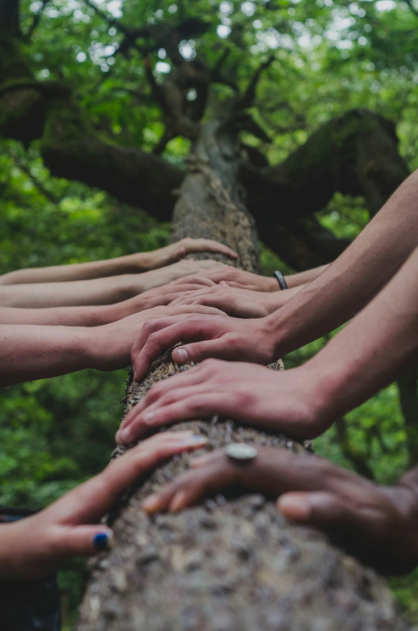 A group of hands reaching together outdoors