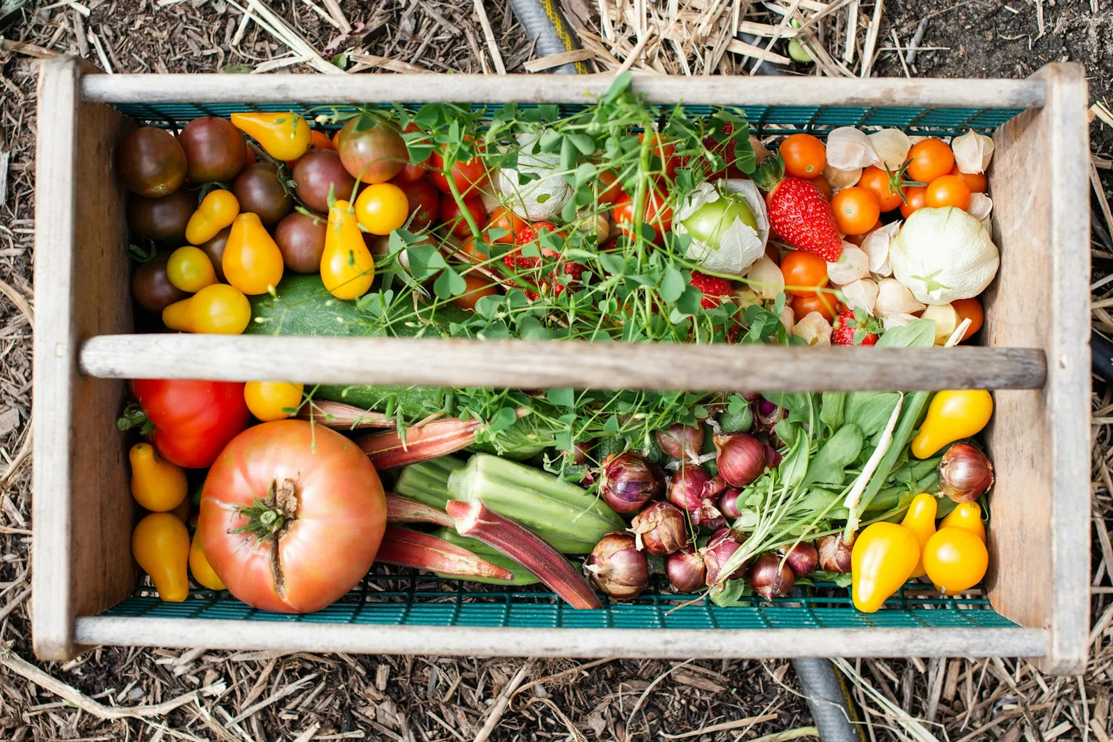 A wooden crate filled with colorful harvested vegetables