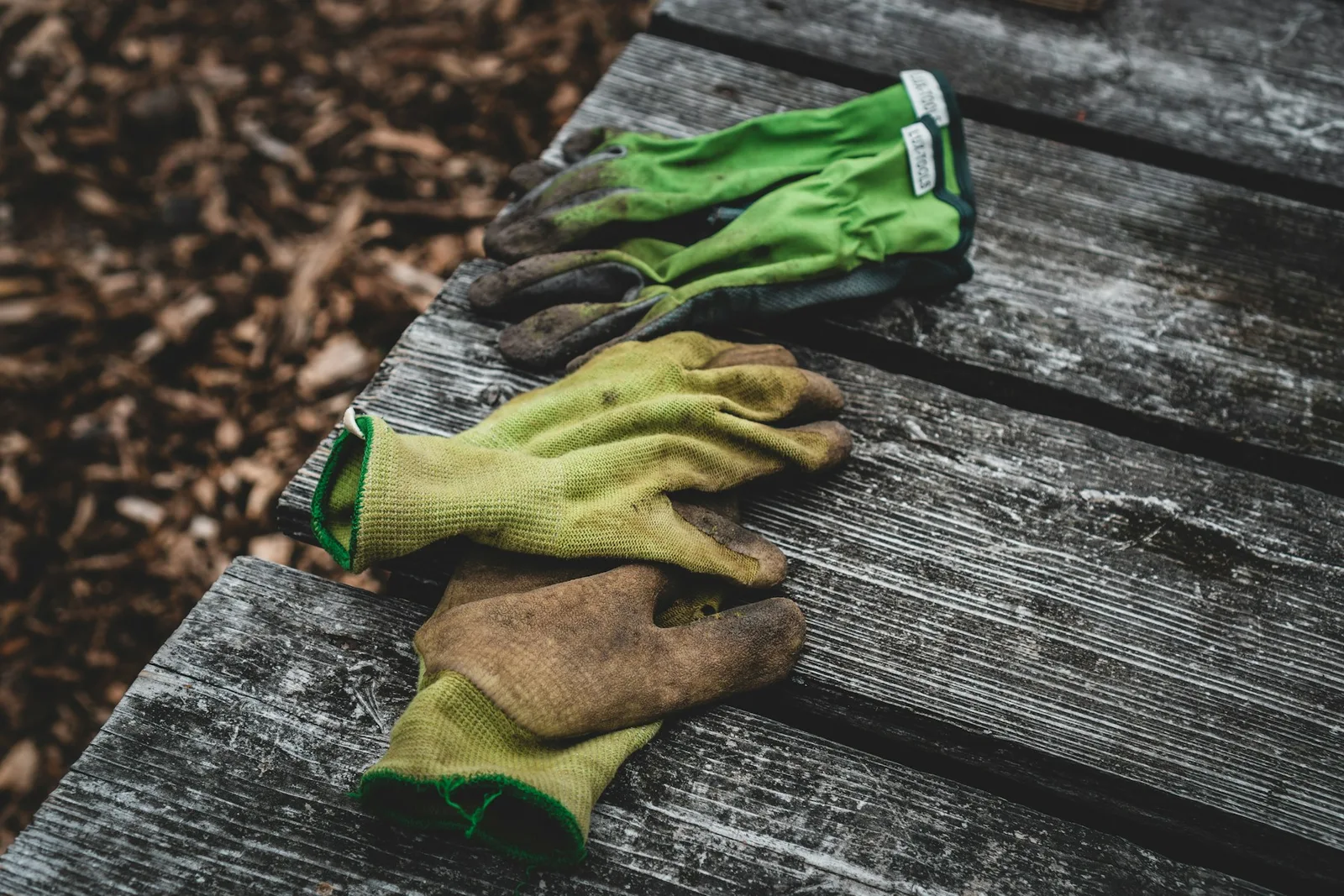Gardening gloves and hand tools on a wooden surface